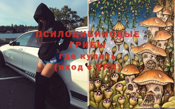а пвп мука Богданович